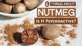 6 Things About Nutmeg  Is It Really Psychoactive [upl. by Marshall317]