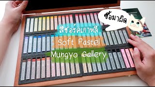 สีชอร์คเกาหลี Soft Pastel  Mungyo Gallery [upl. by Iverson]