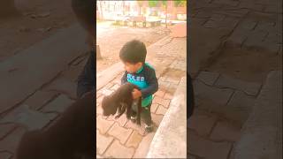 Bechara puppy newvideo cutebaby trendingshorts ytdailyshorts viralvideo newshorts doglover [upl. by Idnam]