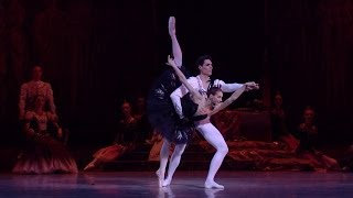 Swan Lake  Black Swan pas de deux Kondaurova Askerov [upl. by Trik]