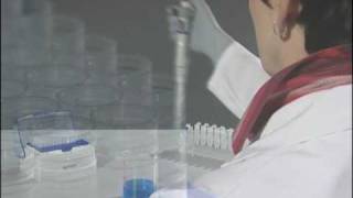 How to use the Reverse Pipetting technique with Eppendorf Research® plus mechanical pipettes [upl. by Malva]