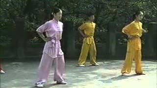 wushu basic training English [upl. by Pinckney]