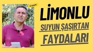 LİMONLU SU İÇMENİN FAYDALARI LİMONLU SUYUN FAYDALARI LİMONLU SU NASIL YAPILIR [upl. by Rica]