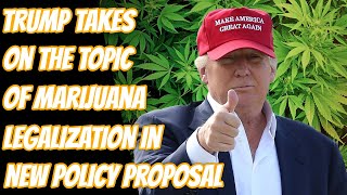 Donald Trump Calls For The Legalization Of Marijuana [upl. by Anrat]