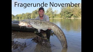 Fragerunde NovemberPlage KatzenwelsGewässer lesenToter Köderfisch [upl. by Eerat]