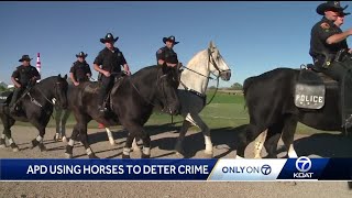 Albuquerque police horses deterring crime Its like foot patrol on steroids [upl. by Fernandez]