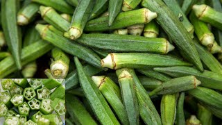 Health Benefits Of Okra  Okra Benefits  Okra Water Benefits [upl. by Merkle558]