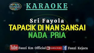 Sri Fayola  Tapacik Di Nan Sansai KaraokeLirik Nada Pria [upl. by Odraode]