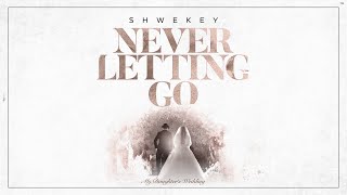 יעקב שוואקי Yaakov Shwekey  Never Letting Go [upl. by Bernadene]