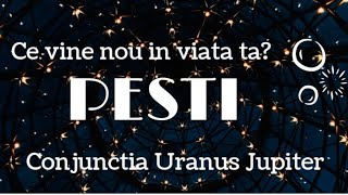 PEȘTI  moment turn întro situație toxică ai un nou inceput din partea Universului🙏❤️ [upl. by Dhruv544]