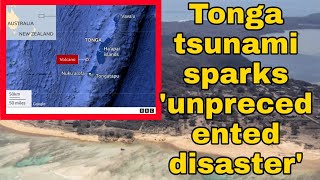 Tonga tsunami sparks unprecedented disaster government says [upl. by Airdnas428]