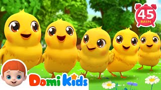 Count Numbers With Five Little Chicks  Nursery Rhymes amp Kids Songs  Domi Kids [upl. by Singband]