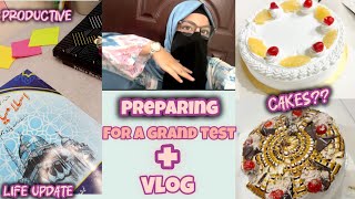 A day in life of an Fsc 11th grader 🇵🇰📚 study with melate night study vlog [upl. by Claude]