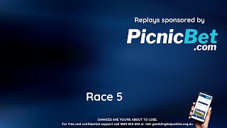 Race 5 Healesville 2nd November 2024 [upl. by Releehw373]