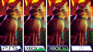 Stray  Xbox Series SX  PS5  PC  Graphics Comparison [upl. by Arihas]