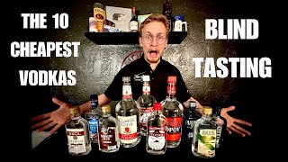 BLIND TASTING THE 10 CHEAPEST VODKAS WE COULD FIND [upl. by Nykal239]