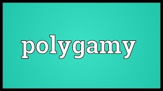 Polygamy Meaning [upl. by Yerag]