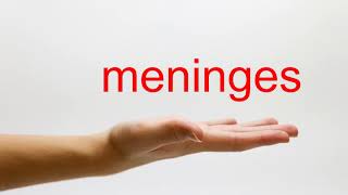 How to Pronounce meninges  American English [upl. by Atrahc501]