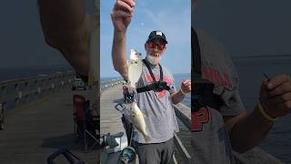 Keansburg Fishing Pier Spot Fish [upl. by Eugirne]