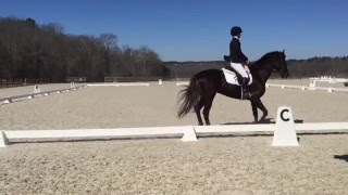 Beginner Novice Dressage Test A [upl. by Brita466]