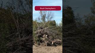 Brush Clearing Essentials Effective Techniques for Land Management shorts [upl. by Atirak593]