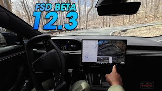 Tesla FSD Beta 123 vs The Winding Mountain Road [upl. by Ammamaria]