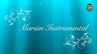 Marian Instrumentals  Jesuit Music Ministry [upl. by Lehcsreh]