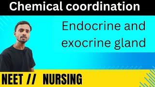 endocrine gland and exocrine gland anatomy and physiology [upl. by Adnilrem]