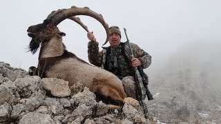 BEZOAR IBEX HUNTING YABAN KEÇİSİ AVI OKAY BARAN RECEP ECER [upl. by Bal]