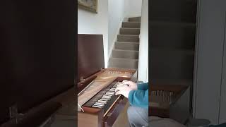 Renaissance dance  Praetorius  Bransle de la Torche clavichord harpsichord classicalmusic [upl. by Issej]