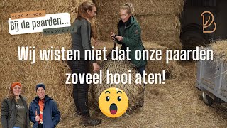 Hoeveel hooi eten onze paarden eigenlijk Een paard moet minimaal 9 a 12 KG hooi per dag eten [upl. by Ellivnarg]