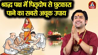 श्राद्ध पक्ष में पितृदोष से छुटकारा पाने का सबसे अचूक उपाय bageshwardhamsarkarkeupay pitrapaksha [upl. by Moyers]