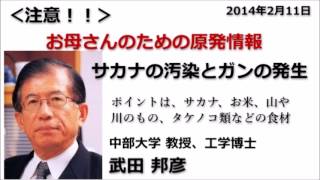 ◆武田邦彦：ストロンチウム５００万ベクレルが検出 これは 規制値の16万倍！！＜サカナの汚染とガンの発生＞ [upl. by Erehc309]