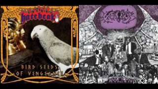 Hatebeak  Bird Seeds of Vengeance [upl. by Wassyngton]