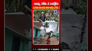 ముగ్గురు ఆటగాళ్లు  బాలు పట్టుకోరా బుడ్డోడా   1TV News [upl. by Sawyer43]