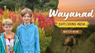 Foreigners Visit Wayanad Before Tragic Mudslide Travel Vlog [upl. by Atsylac523]