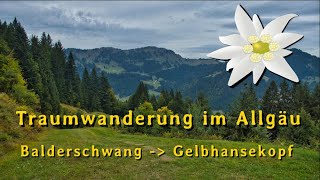 Traumwanderung im Allgäu Balderschwang  Gelbhansekopf [upl. by Arreit]