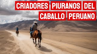 ¿Cómo se cría un caballo en Piura El Caballo del Perú parte 2 [upl. by Eelibuj]