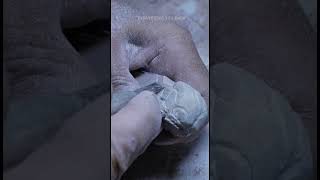 The process of making a toad stamp by hand carving a hard jade stone handmade [upl. by Seiter]