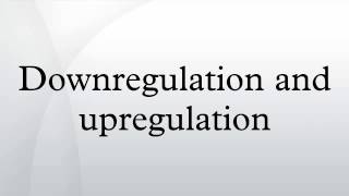 Downregulation and upregulation [upl. by Ree]