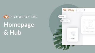 PicMonkey 101  The PicMonkey Homepage amp Hub [upl. by Yerhpmuh506]