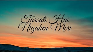 Tarasti hain nigaahein meri Song  Lyrics galat fehmi  Asim Azhar Song [upl. by Pascasia150]