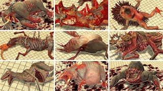 TORTURE ALL MUTATED ANIMALS ZOOCHOSIS in Garrys Mod [upl. by Christmann]