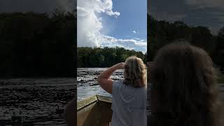 Eagle swooped down and grabbed a fish at Rodman Dam in Florida  Perfect day [upl. by Sinnel]