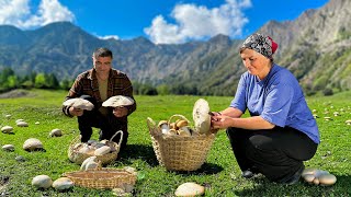 Collecting Wild Mushrooms in Azerbaijan’s Mountains  Traditional Mushroom and Potato Recipe [upl. by Anertal]