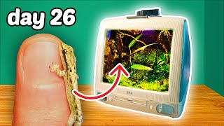 I Built a REAL Gecko Terrarium in an iMac [upl. by Aneetak]