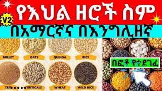 የእህል ዘሮች ስም ከፎቶ ጋር  Names of grains Oil seeds and pulses in English and Amharic with pictures [upl. by Arratoon]