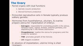 Gonadal function [upl. by Elwaine199]