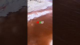 Mexico natural Pink Salt Pools art nature naturelovers wildlife explore travel mexico [upl. by Haidabej]