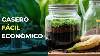 Cómo hacer fertilizante casero para plantas 🌱 Fácil y Económico [upl. by Ailama67]